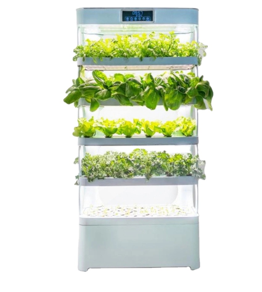 arming Home Hydroponic Growing - Smart Garden In Home ulasan dan harga