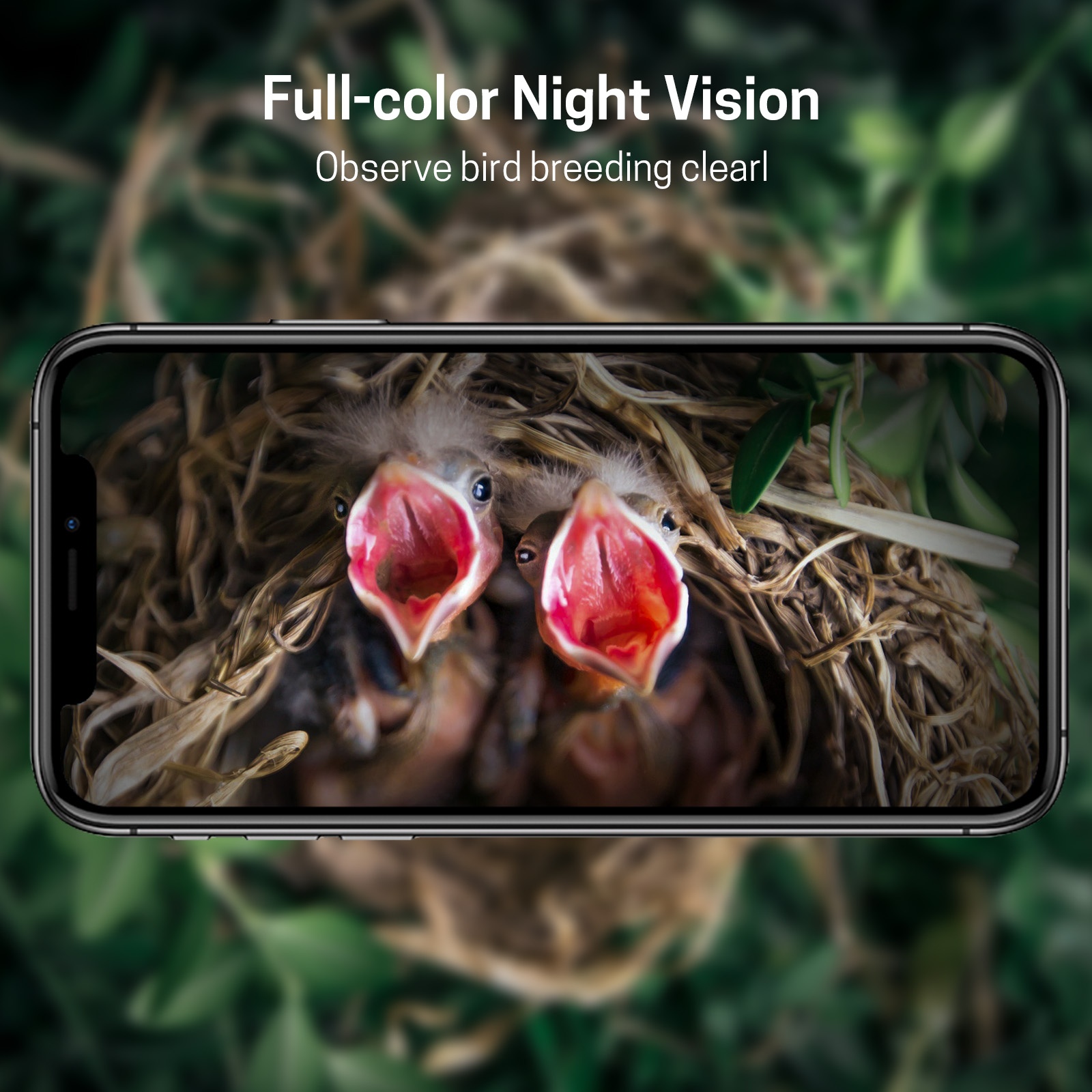Nanxin Hot Selling Camera Bird - Smart Garden Ai ulasan dan harga
