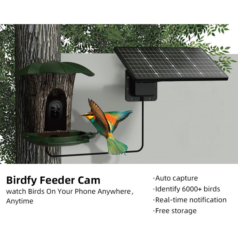Solar AI Smart Bird Feeder Bir - Smart Garden Ai ulasan dan harga