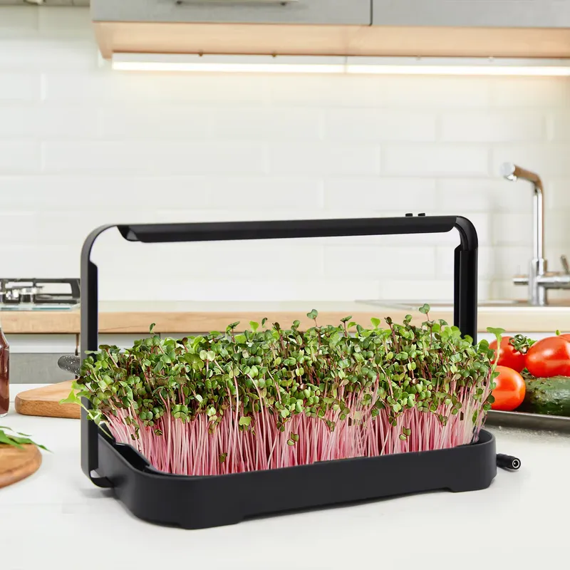 Hydroponic Tray Indoor Microgr - Smart Garden Kit ulasan dan harga